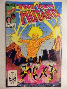 The New Mutants #12 (1984)