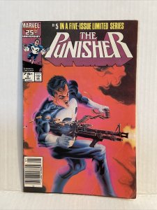 The Punisher #5 Newsstand