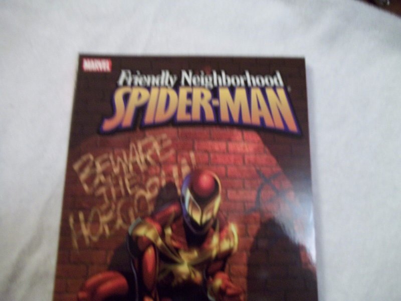 Friendly Neighborhood Spiderman Volume 1: Derailed by Peter David/Mike Wieringo