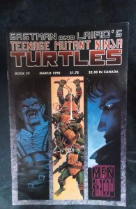 Teenage Mutant Ninja Turtles #29 (1990)