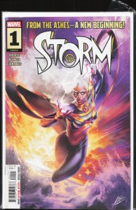 Storm #1 (2024)