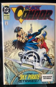 Black Condor #2 (1992)