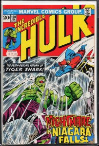 The Incredible Hulk #160 (1973) Hulk