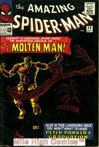 SPIDER-MAN  (1963 Series) (AMAZING SPIDER-MAN)  #28 Fine Comics Book