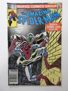 The Amazing Spider-Man #231 (1982) VG+ Condition!