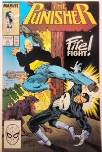 The Punisher #20 (1989)