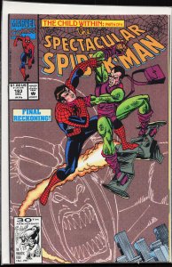 The Spectacular Spider-Man #183 (1991) Spider-Man