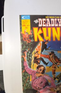 The Deadly Hands of Kung Fu #8 (1975)