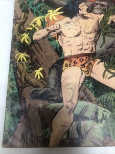 Jungle Tales Of Tarzan (1965) Variant # 2 Silver Age • Edgar Rice Burroughs