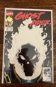 Ghost Rider #15 (1991)