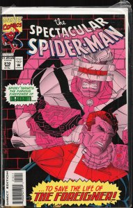 The Spectacular Spider-Man #210 (1994) Spider-Man