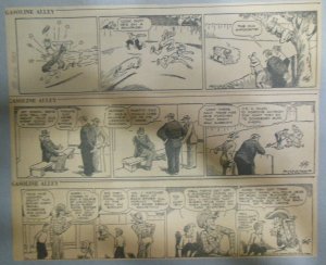 (48) Gasoline Alley Dailies by Frank King from 11-12, 1933 Size: 3 x 10 inches