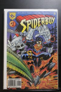 Spider-Boy (1996)