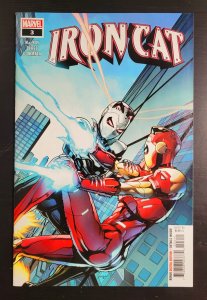 Iron Cat #3 (2022)