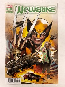 Wolverine #18 Land Cover (2022)