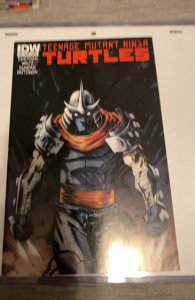 Teenage Mutant Ninja Turtles #10 Cover A - Dan Duncan (2012)