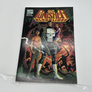 Marvel Comics Punisher Blood Lines Graphic Novel 1991 NM/MT
