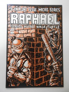 Raphael Teenage Mutant Ninja Turtle (1985) VF Condition!