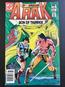Arak, Son of Thunder #3 (1981)