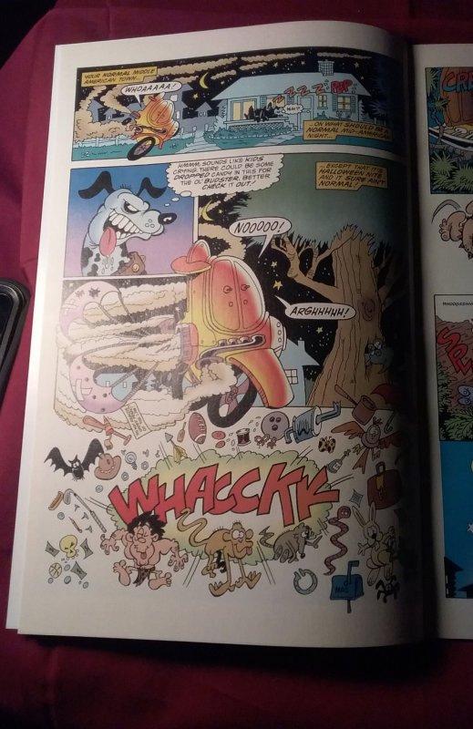 Boof and the Bruise Crew #1 (1994)