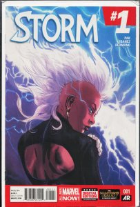 Storm #1 (2014) Storm