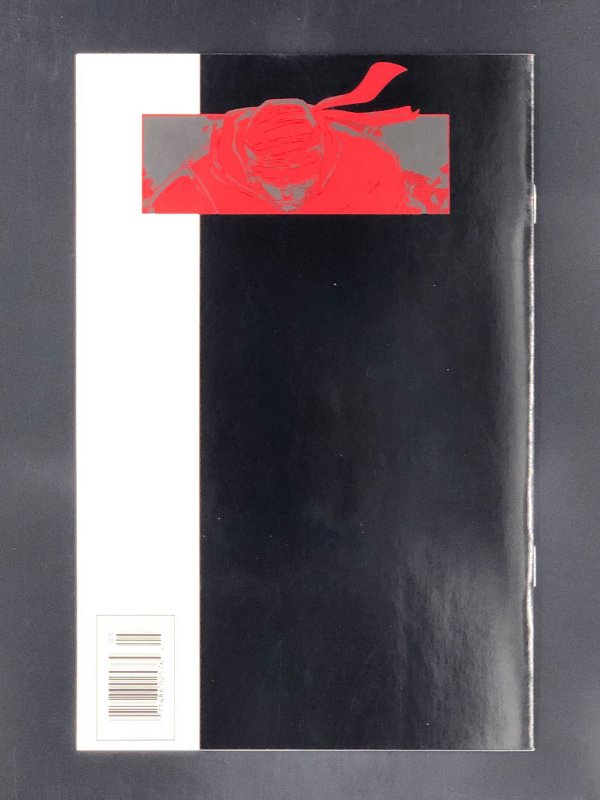 Daredevil: The Man Without Fear #5 (1994) Embossed Foil Cover