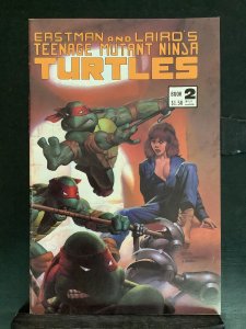 Teenage Mutant Ninja Turtles #2 3rd Print Variant (1984)