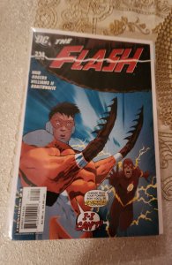 The Flash #234 (2008)