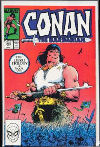 Conan the Barbarian #206 (1988) Conan