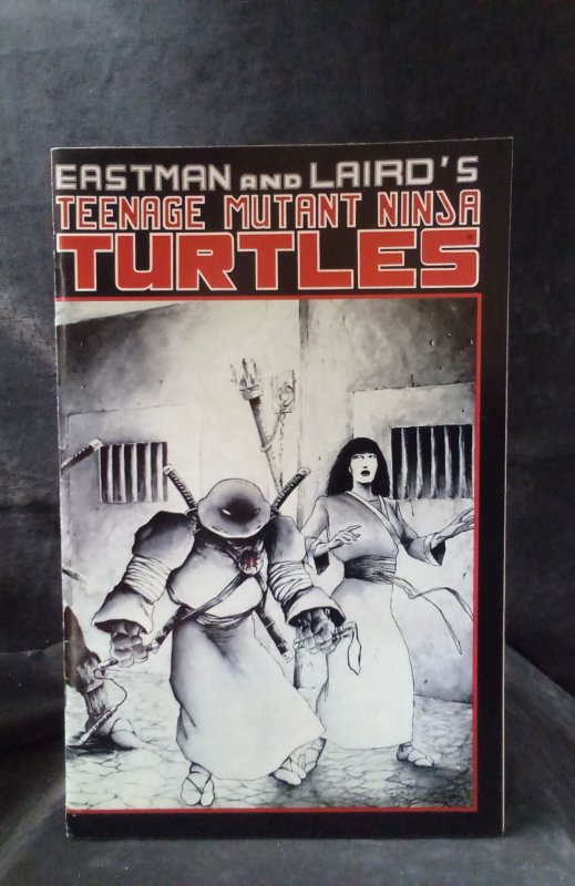 Teenage Mutant Ninja Turtles #17 (1988)