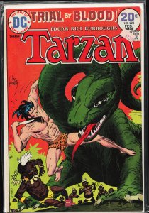 Edgar Rice Burroughs' Tarzan #228 (1974)