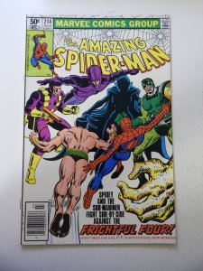 The Amazing Spider-Man #214 (1981) FN/VF Condition