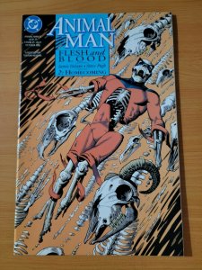 Animal Man #52 ~ NEAR MINT NM ~ 1992 DC Comics