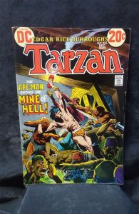 DC Edgar Rice Burroughs Tarzan #215 1972 gold-key Comic Book gold-key Comic Book