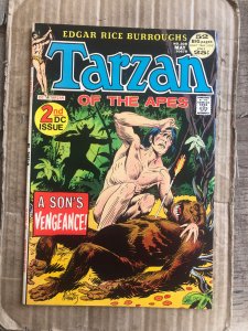 Edgar Rice Burroughs' Tarzan #208 (1972)