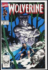 Wolverine #25 (1990) Wolverine