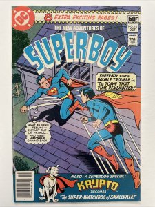 New Adventures Of Superboy 10