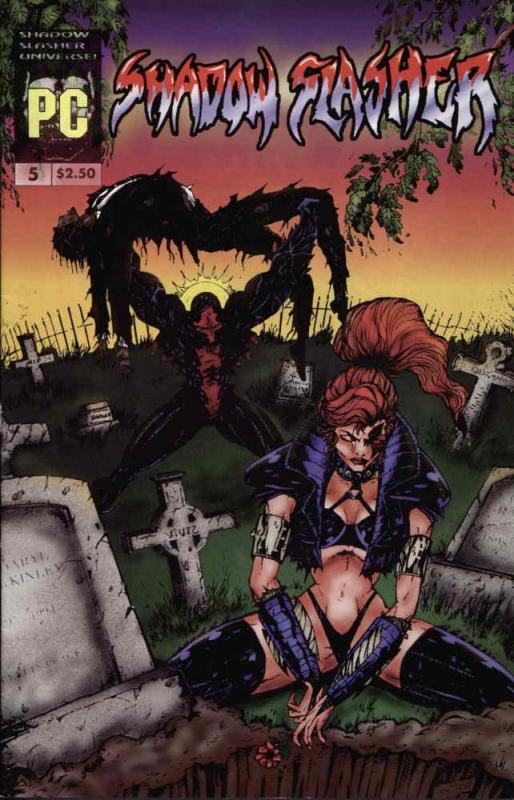 Shadow Slasher #5 VF/NM; Pocket Change | save on shipping - details inside