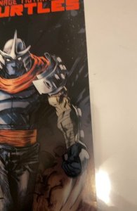 Teenage Mutant Ninja Turtles #10 Cover A - Dan Duncan (2012)