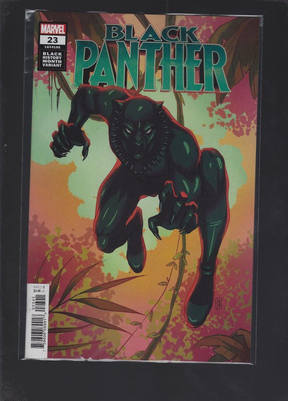 Black Panther #23 Variant