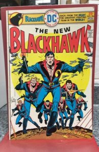 Blackhawk #244 (1976)