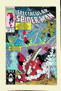 Spectacular Spider-Man #175 (Apr 1991, Marvel) - Good+