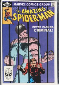 The Amazing Spider-Man #219 (1981) Spider-Man