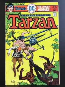 Tarzan #245 (1976)