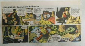 Star Wars Sunday Page by Al Williamson from 9/20/1981 Third Page Size!