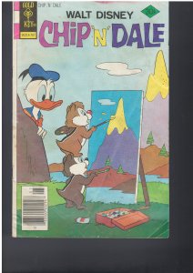 Chip N Dale #145