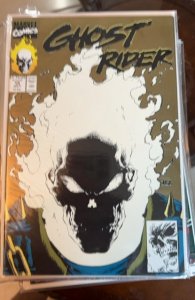Ghost Rider #15 Second Print Cover (1991) Ghost Rider 