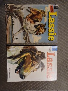 Lassie 17 And 22 Golden Age Dell Comics 1955 Lot Run Set Collection