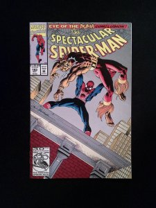 Spectacular Spider-Man #193  Marvel Comics 1992 VF+