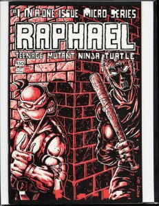 Teenage Mutant Ninja Turtles Microseries #1 Cover D (2011) Teenage Mutant Nin...